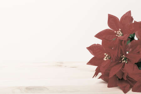 Easter composition on light wooden background. Toned.の写真素材