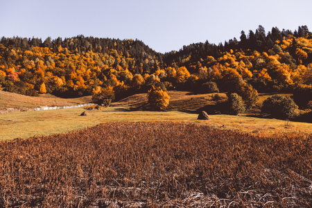 Beautiful autumn mountain landscape in Svaneti. Georgia. Toned.の写真素材