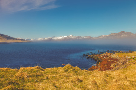 Grass on the stony coast of the fjord in the east of Iceland. Toned.の写真素材