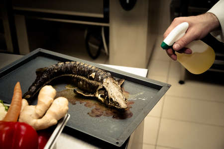 Fresh prepared fish sterlet in a metal oven of restaurant kitchen. Selective focus. Shallow depth of...