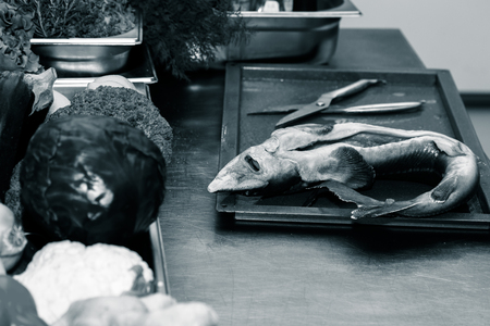 Fresh fish sterlet on a metal table of restaurant kitchen. Selective focus. Shallow depth of field. Toned.の写真素材
