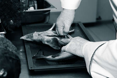 Fresh fish sterlet on a metal table of restaurant kitchen. Selective focus. Shallow depth of field....