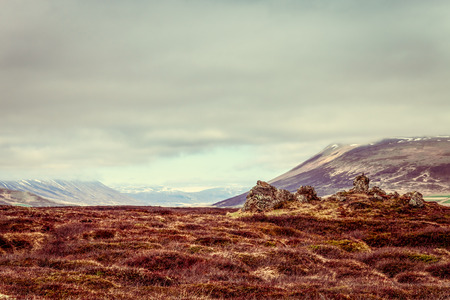 Yellow grass and snowy tops of mountains on a stony rocky desert landscape of Iceland. Toned.の写真素材