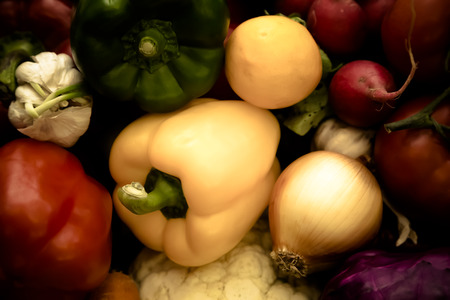 Set of fresh vegetables and herbs on a metal table of restaurant kitchen. Selective focus. Shallow depth of field. Toned.の写真素材
