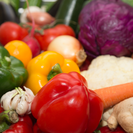 Set of fresh vegetables and herbs on a metal table of restaurant kitchen. Selective focus. Shallow depth of field.の写真素材