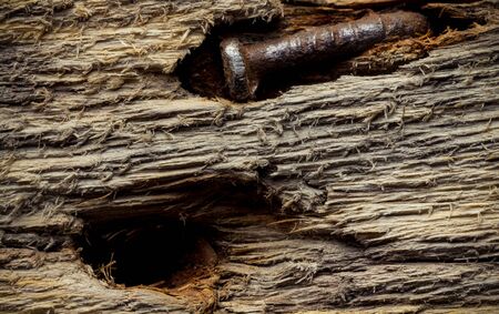 Rough weathered wooden board. Rustic texture for background. Toned.の写真素材