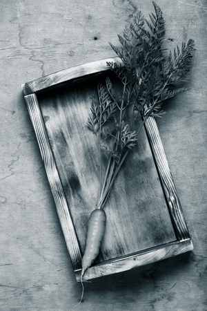 Fresh vegetables and herbs on a wooden burned rustic texture for background. Rough weathered wooden board. Toned.の写真素材