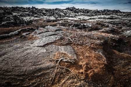 Stony rocky desert landscape of Iceland. Toned.の写真素材