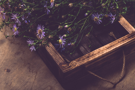 Fresh vegetables and herbs on a wooden burned rustic texture for background. Rough weathered wooden board. Toned.の写真素材