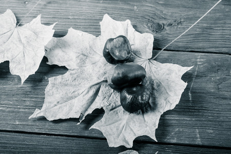 Chestnuts and autumn leaves on a old wooden table. Toned.の写真素材