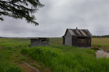 Summer landscape of Sakhalin island.の写真素材