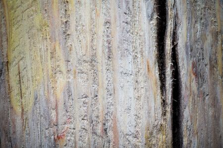 Rough weathered wooden board. Rustic texture for background. Toned.