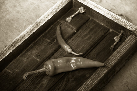 Fresh vegetables and herbs on a wooden burned rustic texture for background. Rough weathered wooden board. Toned.の写真素材