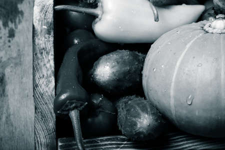 Fresh vegetables and herbs on a wooden burned rustic texture for background. Rough weathered wooden board. Toned.の写真素材