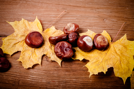 Chestnuts and autumn leaves on a old wooden table. Toned.の写真素材