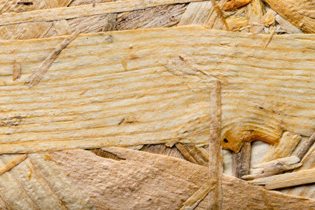 New wooden texture for background.の写真素材