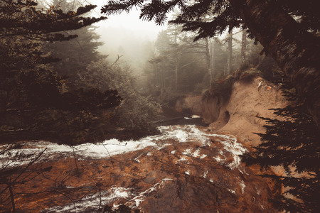 Stormy water of a river in the forest. Selective focus. Toned.の写真素材