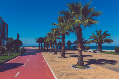 Beautiful embankment for walking and sport in Batumi Georgia. Toned.の写真素材
