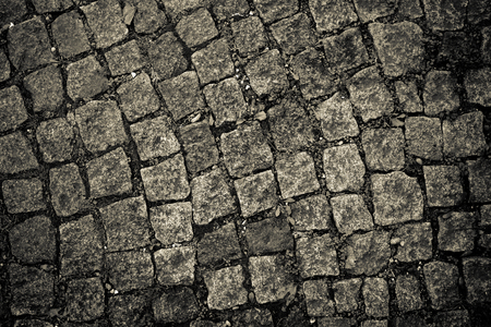 Gray stone floor tile with new grass for background. Toned.の写真素材