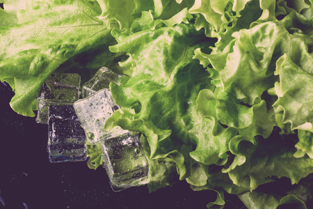 Green salad and ice cubes on black wet table. Selective focus. Toned.の写真素材