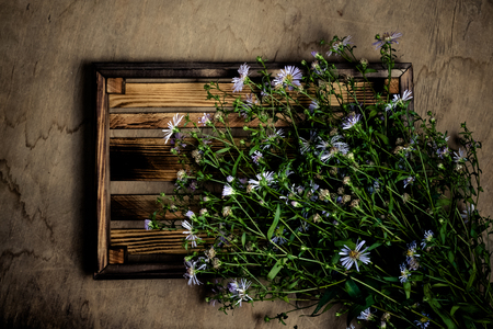Fresh flowers and herbs on a wooden burned rustic texture for background. Rough weathered wooden board. Toned.の写真素材