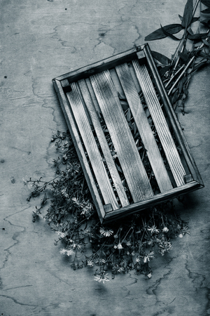 Fresh flowers and herbs on a wooden burned rustic texture for background. Rough weathered wooden board. Toned.の写真素材