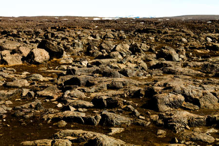 Beautiful stony rocky desert landscape of Iceland. Toned.