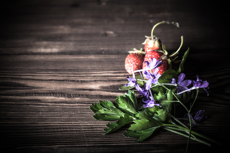 Dill, parsley, strawberry on old wood boardの写真素材