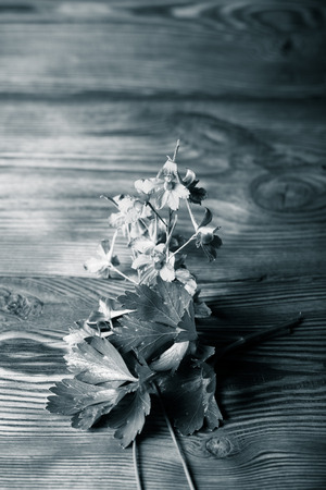 Parsley and purple flowers on old wood boardの写真素材