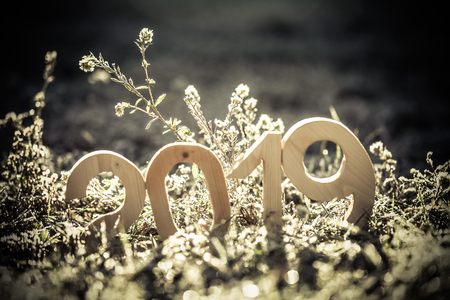 Wooden number 2019. Happy new Year 2019.
