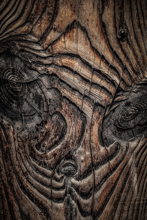 Old rich wood texture background with knots. Wood wall for design and text, texture for designer.の写真素材