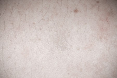 The texture of the skinの写真素材