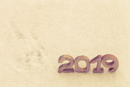 Figures 2019 on the snow. New year and christmas theme. Toned.