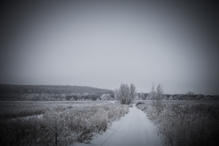 Russian provincial natural landscape in gloomy weather. Toned.の写真素材