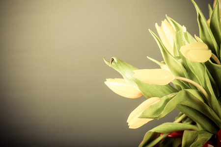 Bouquet of bright tulips on the dark background. Toned.の写真素材