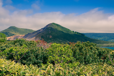 Beautiful deserted landscape of Kunashir island. Toned.の写真素材