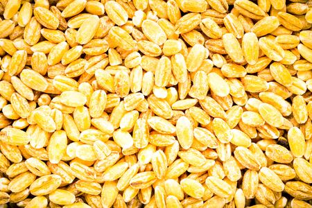 Pearl barley texture close up for background. Toned.