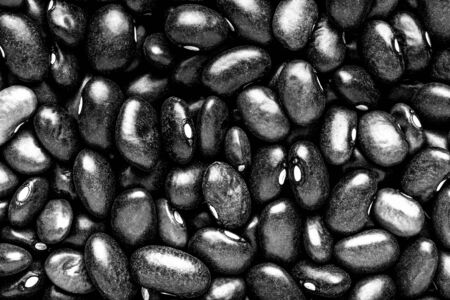 Beans texture close up for background. Toned.の写真素材