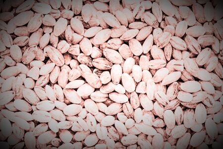 Pearl barley texture close up for background. Toned.の写真素材