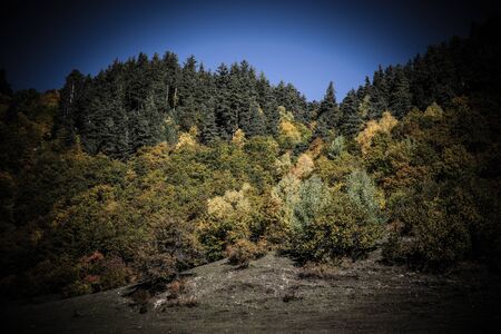 Amazing autumn mountain landscape in Svaneti. Georgia. Toned.の写真素材