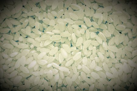 Rice texture close up for background. Toned.の写真素材
