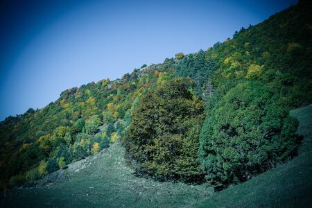 Amazing autumn mountain landscape in Svaneti. Georgia. Toned.の写真素材
