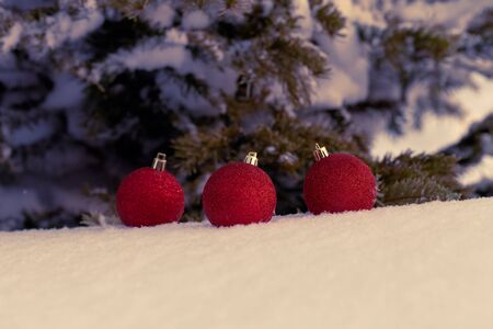 Cristmas tree branches and bright balls on a clean pure snow for natural winter background. New year composition. Shallow depth of field. Selection focus. Toned.の写真素材