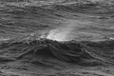 Waves of stormy cold sea on the south of Iceland. Toned.