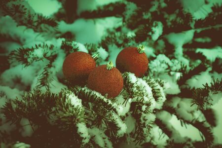 Bright balls on a cristmas tree branches on a clean pure snow for natural winter background. New year composition. Shallow depth of field. Selection focus. Toned.の写真素材