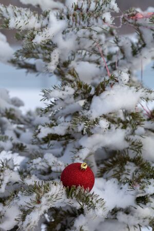 Bright balls on a cristmas tree branches on a clean pure snow for natural winter background. New year composition. Shallow depth of field. Selection focus.の写真素材