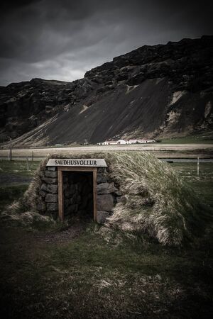 Small wooden house with grass roof in the Iceland fjord. Toned.