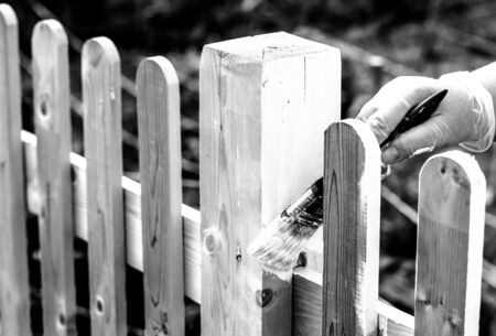 Woman paints a new wooden fence in the summer garden. Shallow depth of field. Selective focus....