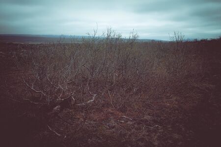 Empty dramatic landscape of Iceland. Toned.の写真素材