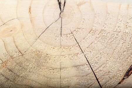 Surface of old textured wooden cube for background.